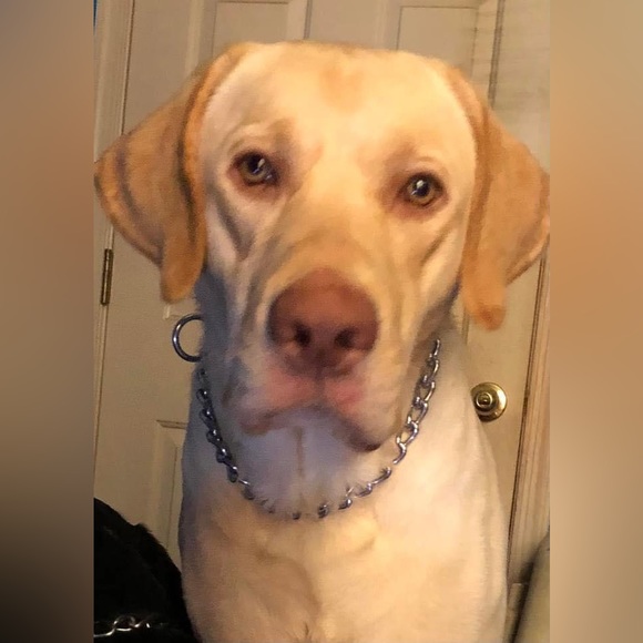 Other - Come see me Today Bag Show see what deals I have